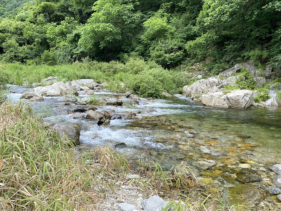 송학포유원지 사진 1