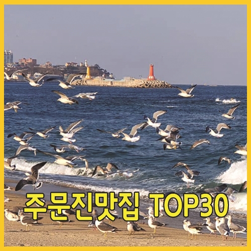  주문진맛집 TOP 30