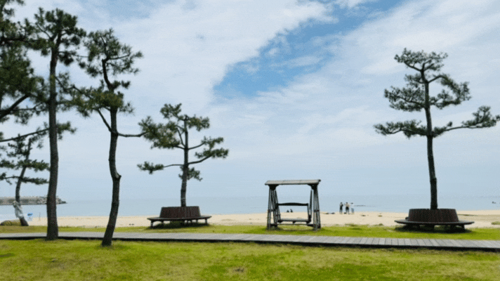  강원도서핑 양양서핑강습 동산항 제이제이서프