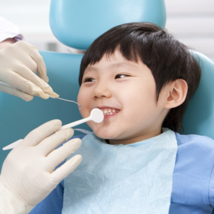  치석이란 무엇인가?치석이 생기는 이유 제거방법 간단정리