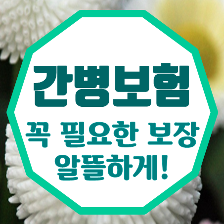 간병비보험비교 : 가입 전에 우리가 알아야 할 것들에 대한 정리