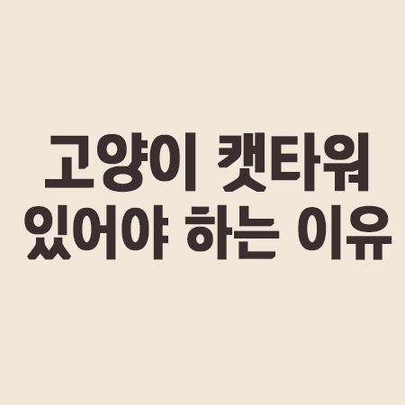  고양이 캣타워 필요한 이유 고르는법
