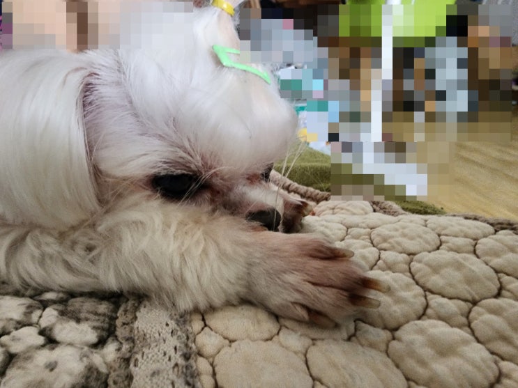  지구방위대 비가 오니 집에 있다~~~