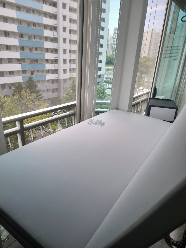  바닥과 매트리스 밑에 곰팡이 제거 후기