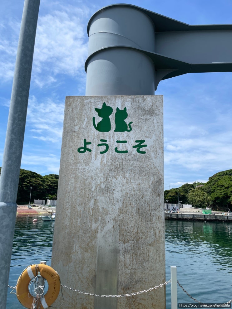 일본 생활 60주차 - 미야기 고양이 섬(猫島) - 타시로지마(네코지마) 여행