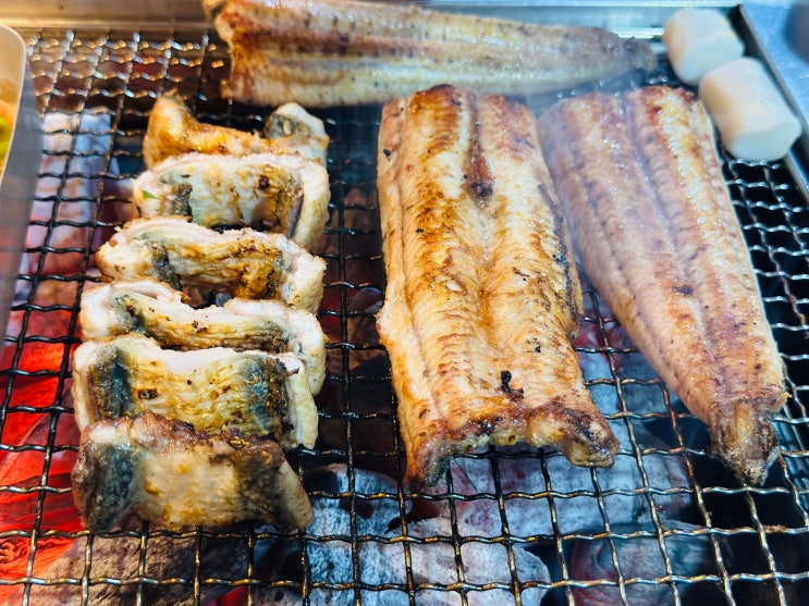  안양 평촌 장어 맛집 원조 장어가 | 복날에는 담백한 장어가 최고지!: 경기도/안양시