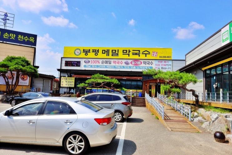 장군면 봉평메밀막국수에서 <b>주니어 우승</b> 축하 파티