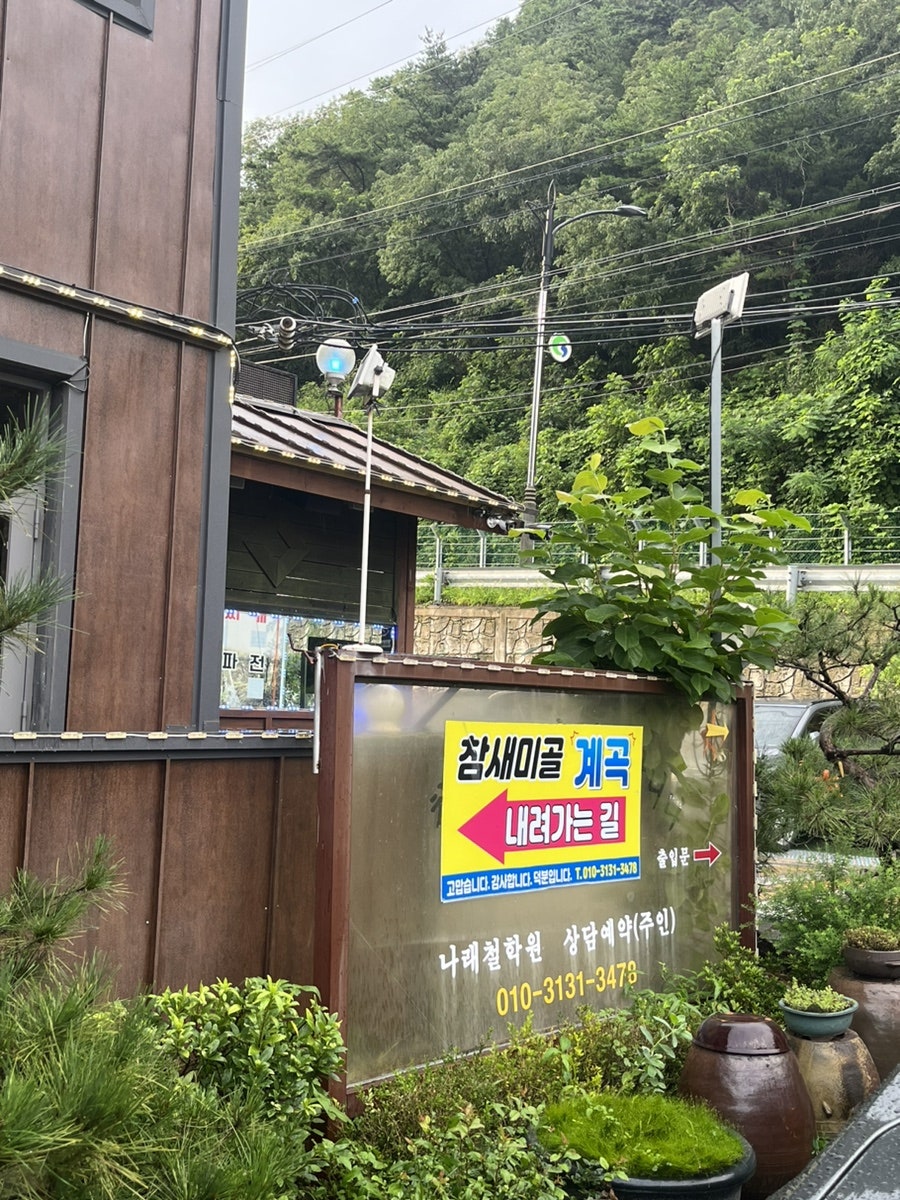 미골 사진 3