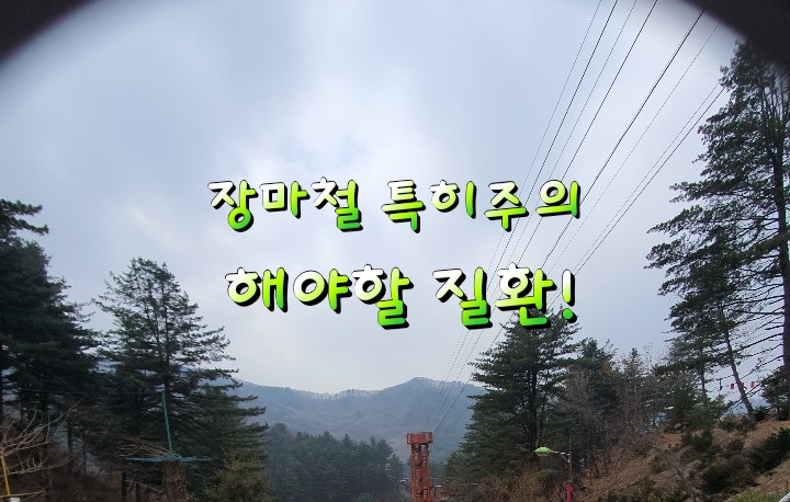 장마철 특히주의 해야할 질환! 장마철 특히주의 해야할 질환!