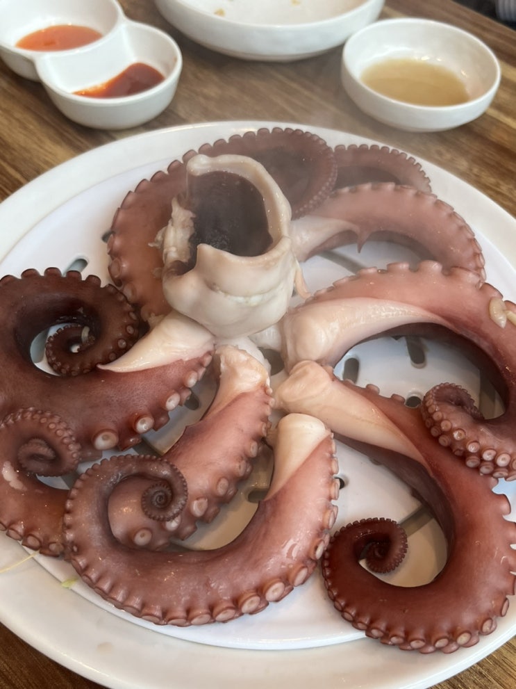  [용인/역북동] 문어로 : 코스로 즐기는 문어 샤브샤브 맛집,가족 모임 추천