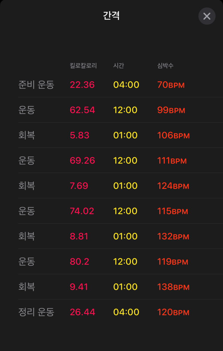  버피 (버피 테스트 / 슬로우 버피 ) 1년 4개월 반 후기