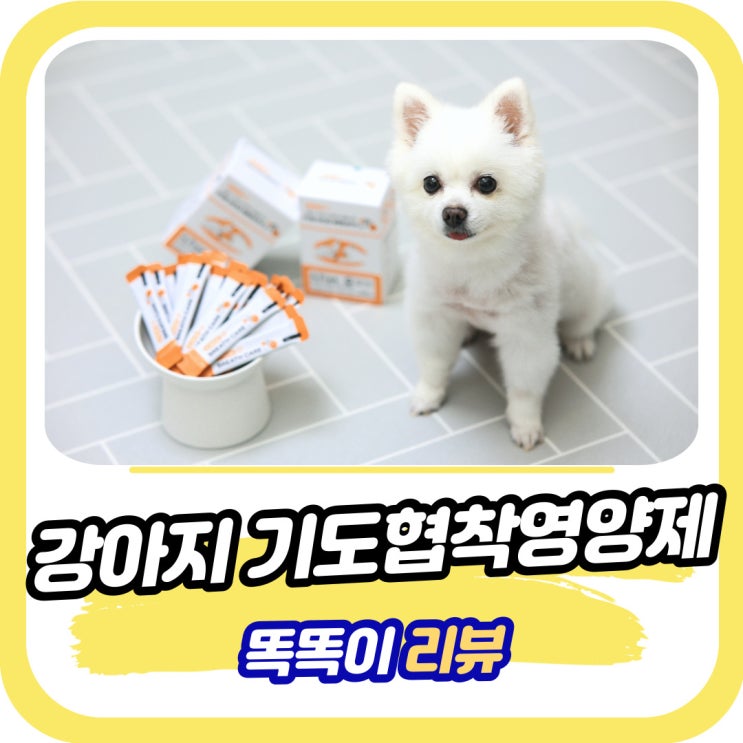  강아지 기관지 협착증 영양제 미리 챙겨요