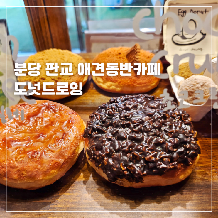  분당 판교 애견동반 대형 카페 도넛드로잉
