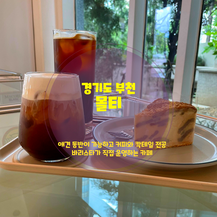  부천 중동 애견동반카페, 몰티