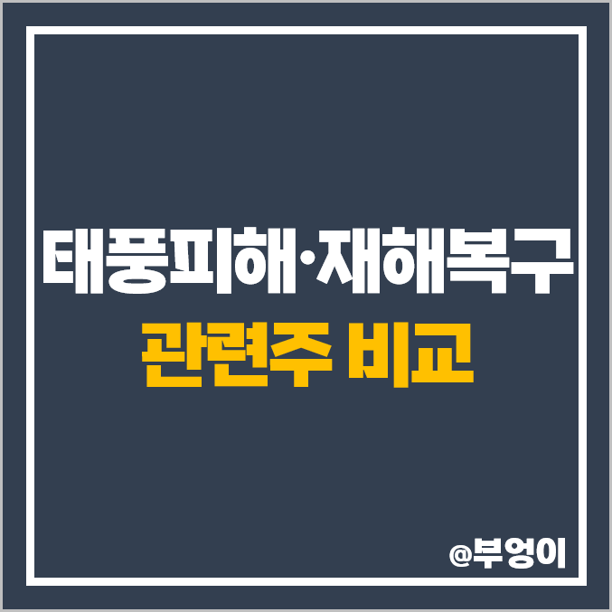 4대강 복원, 재해 복구 관련주 : 장마 태풍 피해 주식 비교