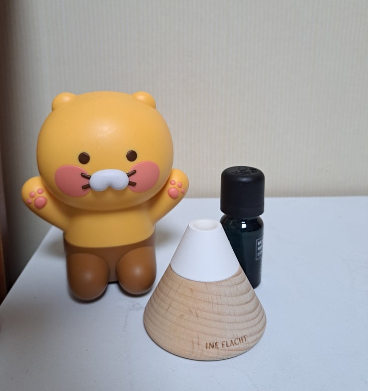 감성 있는 집들이 선물로 좋은 이너플랏 산 스톤디퓨저 감성 있는 집들이 선물로 좋은 이너플랏 산 스톤디퓨저