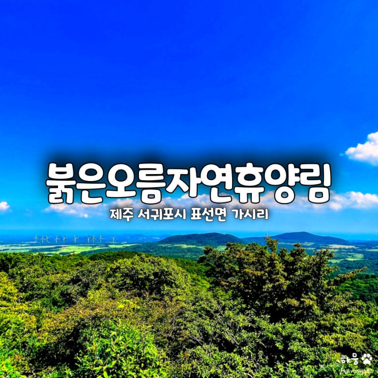  제주 서귀포 관광지 붉은오름자연휴양림 데크 산책로 전망대