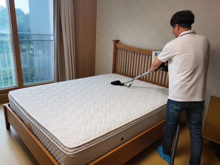  평택 장안동 매트리스 청소 요술빗자루에서 진드기 제거