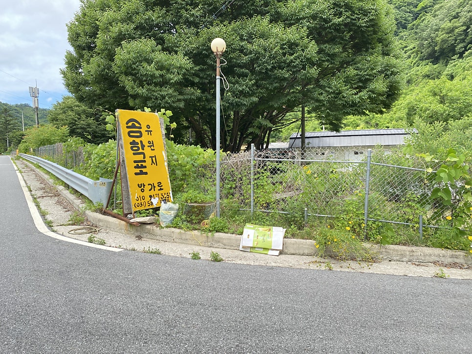 송학포유원지 사진 4