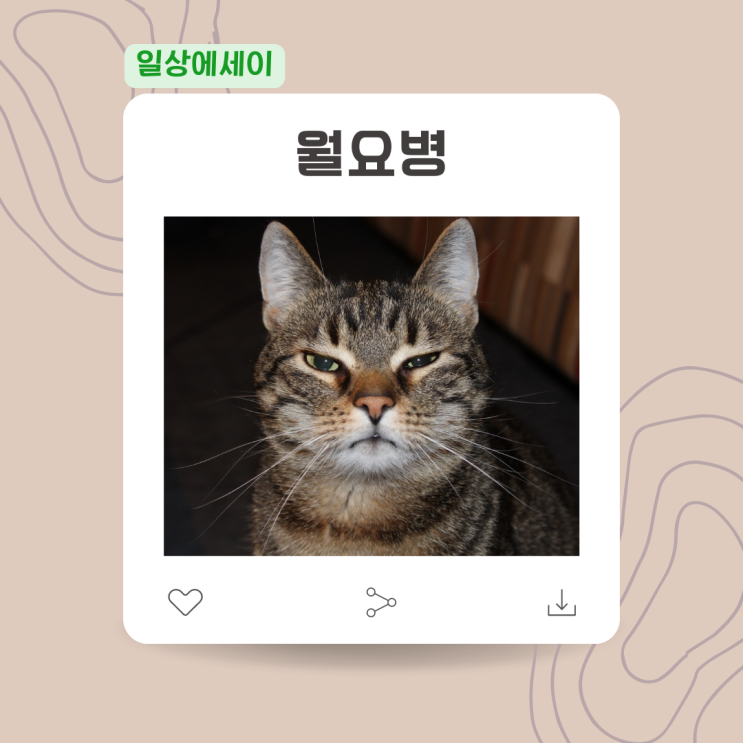  [일상 에세이] 월요병