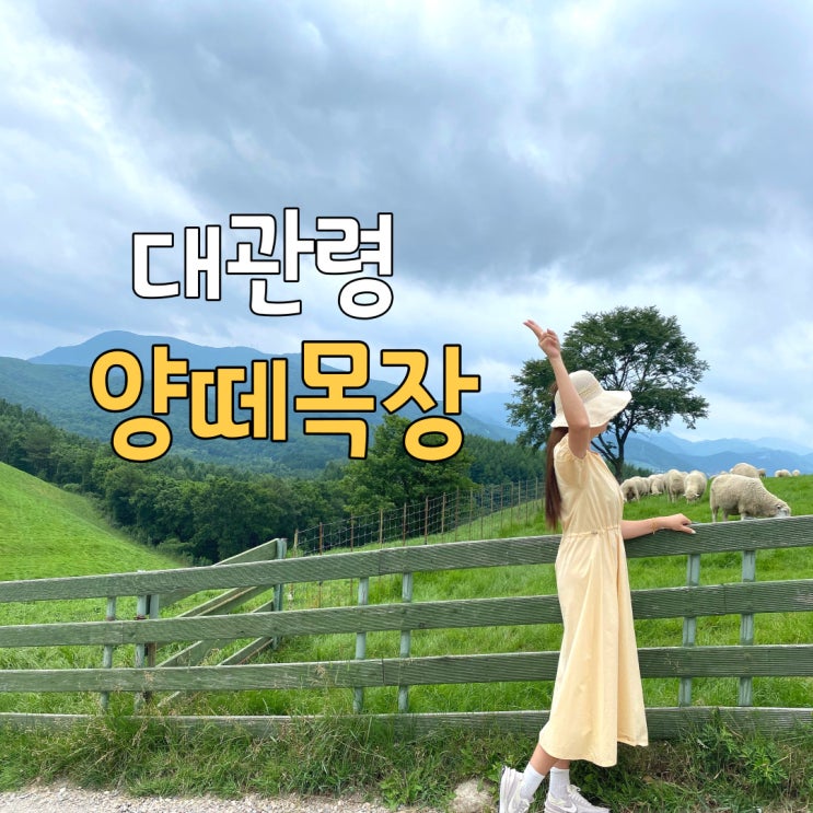 강원도 평창 대관령 양떼목장(예매할인방법), 여름여행 가볼만한곳 추천