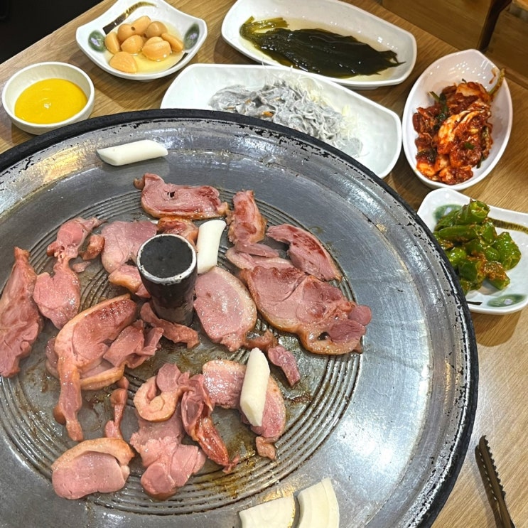  [한식] 홍대•합정 삼계탕 맛집, 마포오리농장