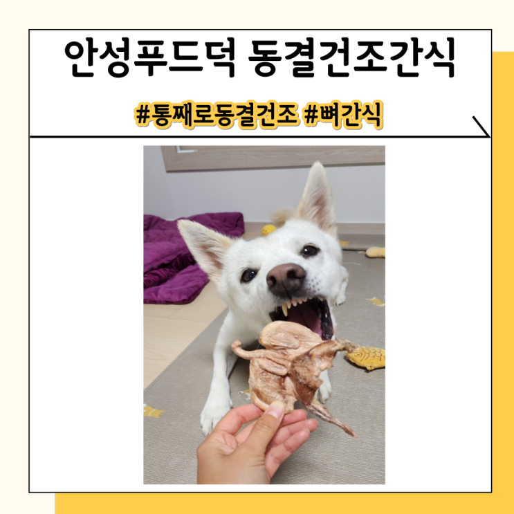 안성푸드덕 동결건조 5종! 뼈간식보다 안전한 강아지 푸드 안성푸드덕 동결건조 5종! 뼈간식보다 안전한 강아지 푸드