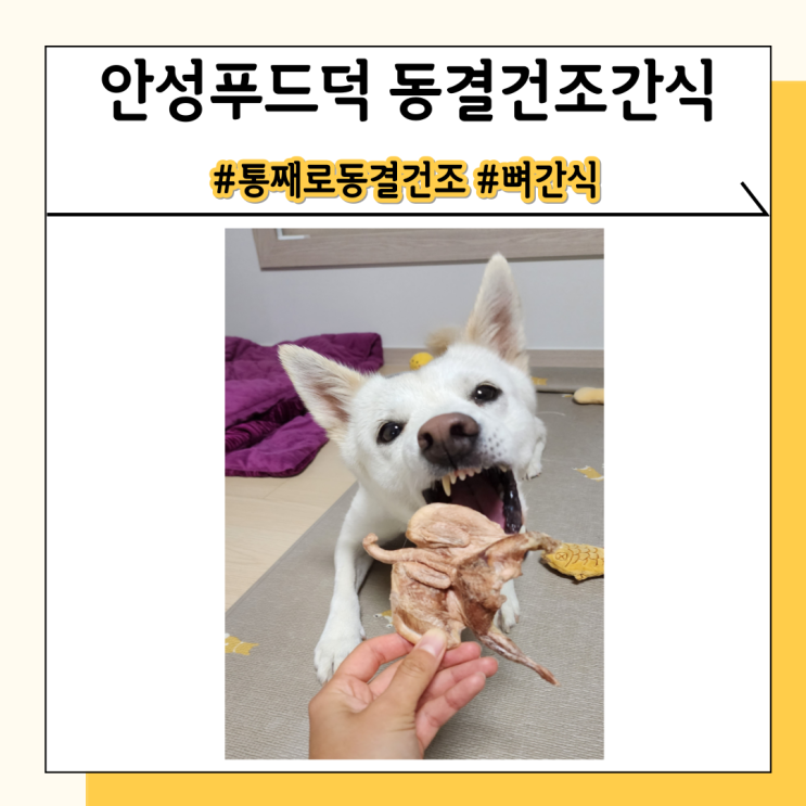 안성푸드덕 동결건조 5종! 뼈간식보다 안전한 강아지 푸드