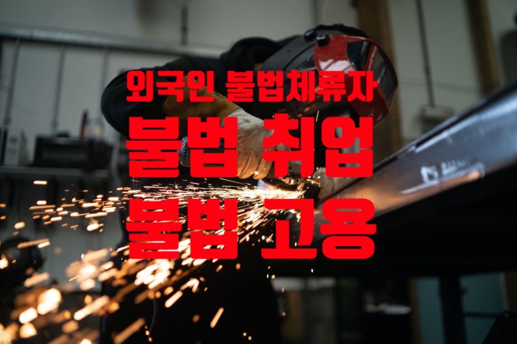 외국인 불법체류자_불법취업_불법고용 단속 범칙금 부과 기준(B1, C3, D2, D4, E6, F1, F3비자 등) 외국인 불법체류자_불법취업_불법고용 단속 범칙금 부과 기준(B1, C3, D2, D4, E6, F1, F3비자 등)