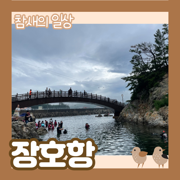  강원도 삼척 '장호항' 스노클링 및 카누 요금, 샤워장 요금/용화해수욕장