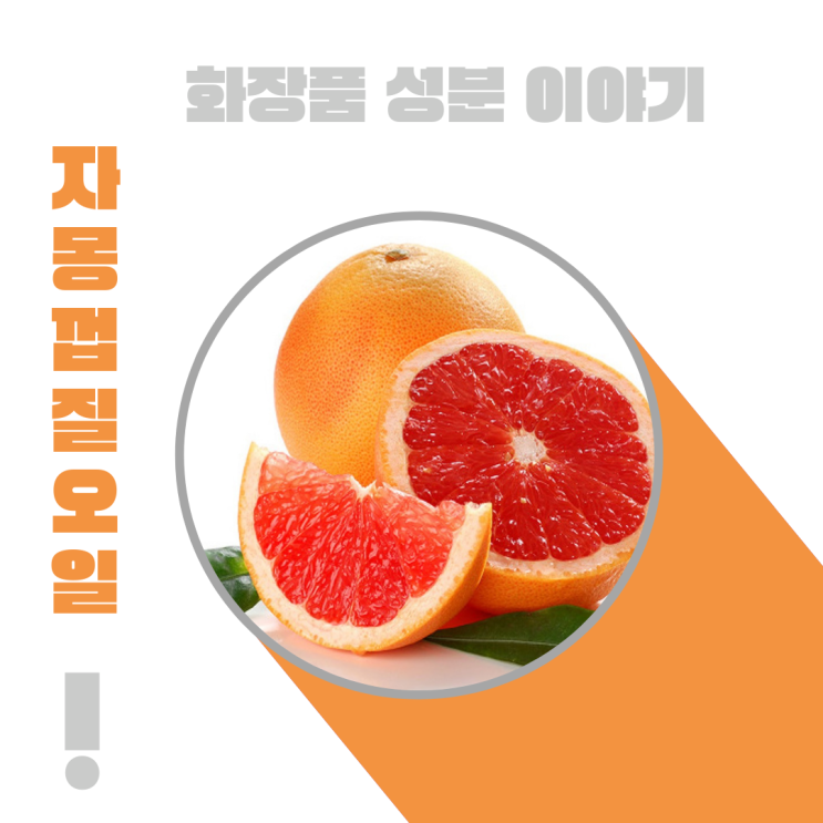 화장품 성분 이야기: 자몽껍질 오일 [ Citrus Paradisi (Grapefruit) Peel Oil]