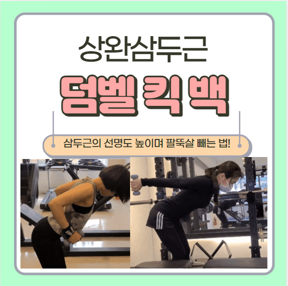  덤벨 킥 백 상완 삼두근  팔뚝살빼는법 최고! 운동방법 및 자세 주의사항