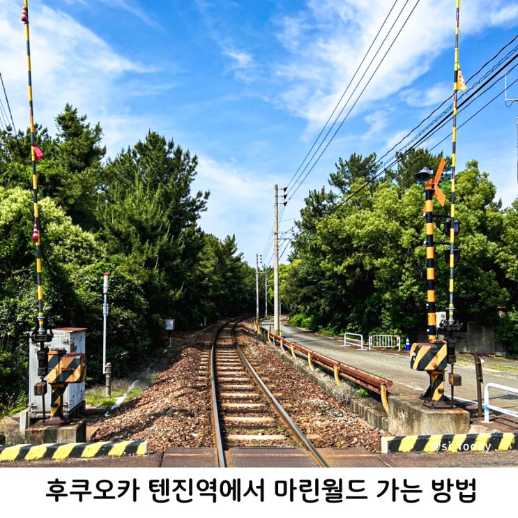  후쿠오카 텐진역에서 마린월드 우미노나카미치 지하철로 가는 방법