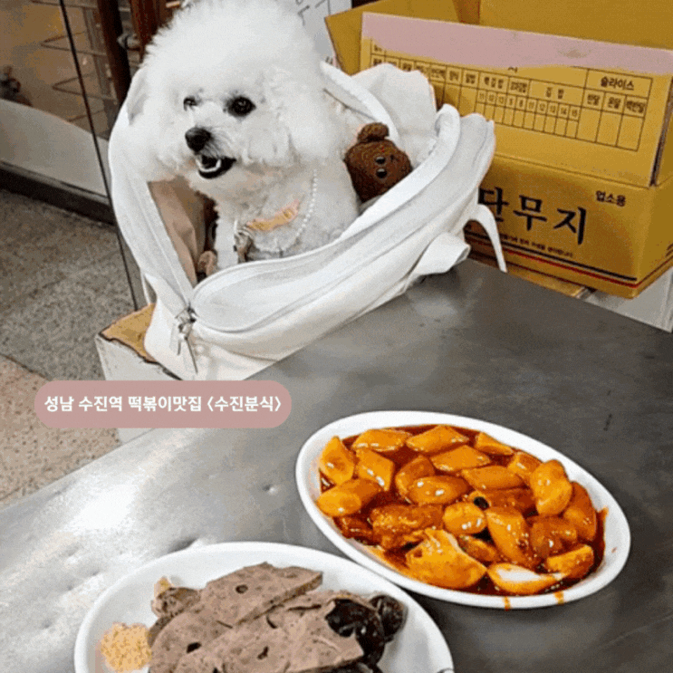  [성남맛집] 떡볶이덕후라면 꼭 먹어봐야 하는 <수진분식>
