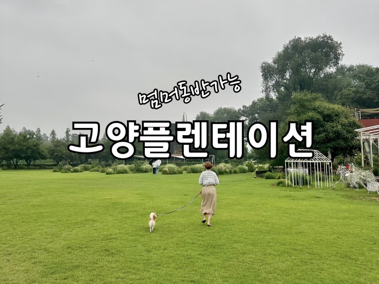  일산/고양시 덕양구 플렌테이션베이커리카페