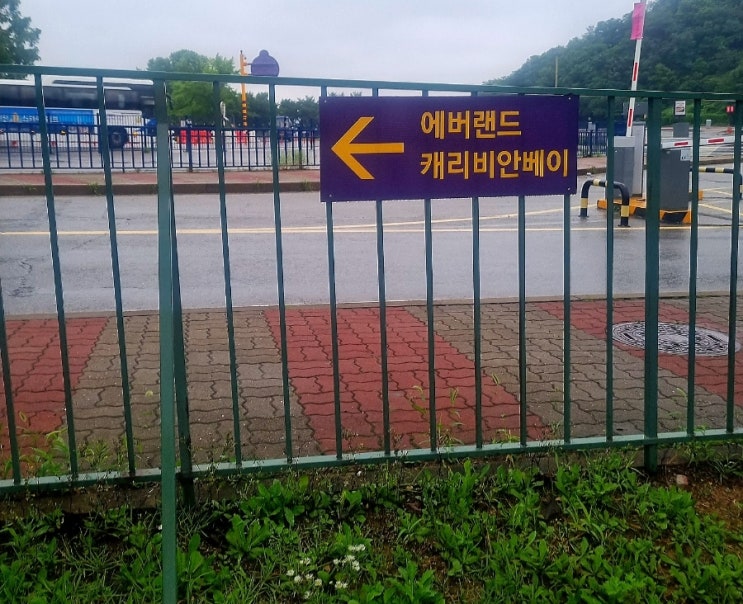  [용인 캐리비안베이 후기] 눈치게임 성공! 친구와 함께 비 오는 날 금요일 즐기고 온 여행 후기 1편