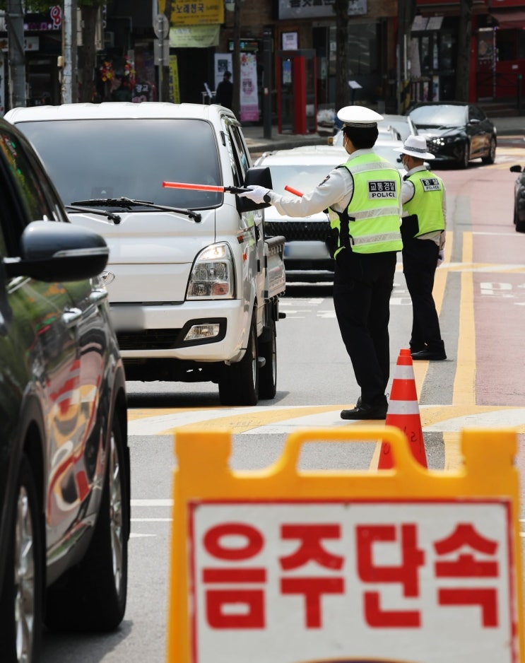 "음주운전 막으려면 높은 보험료·배상금으로 '금융치료' 해야"