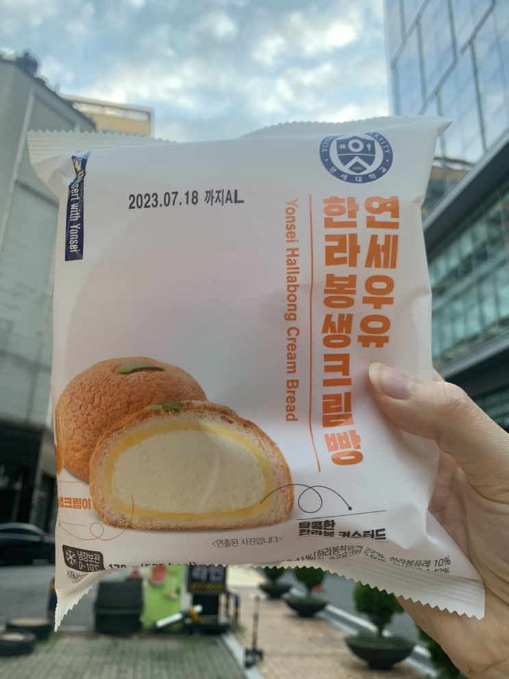  연세우유 - 한라봉 생크림 빵 | 내돈내산 리뷰