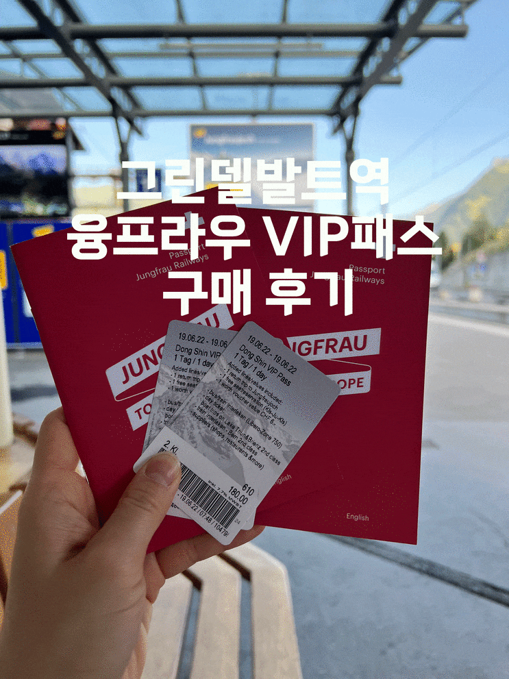  스위스 여행 그린델발트역 여름 융프라우 VIP PASS 구매 후기 (동신항운 할인쿠폰 사용)