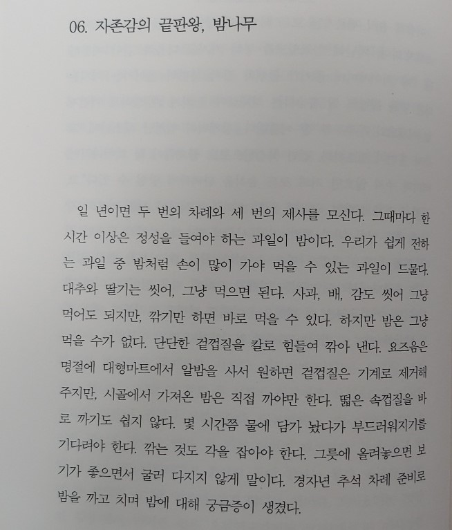  06. 자존감의 끝판왕, 밤나무