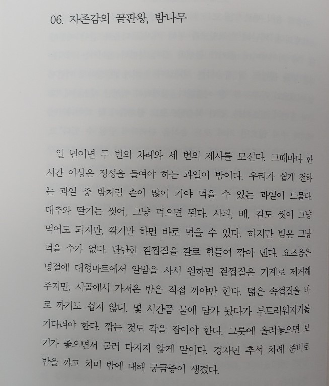 06. 자존감의 끝판왕, 밤나무