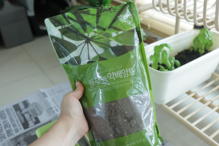  다이소 채소심기 및 분갈이하는 방법