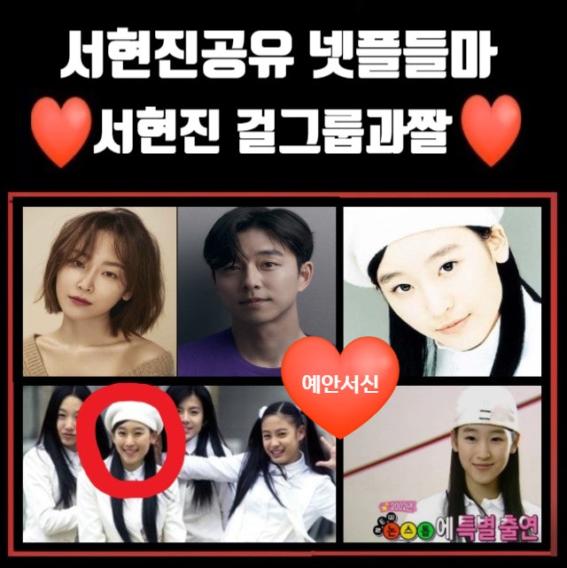 넷플릭스 트렁크 서현진 & 공유 드라마 제작 확정 / 원작정보 / 네 번 결혼한 서현진 + 다섯번....