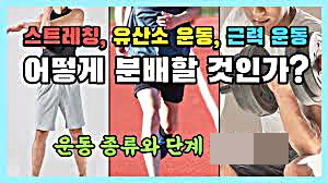  에너지소비량 증가 적절한 운동 유형