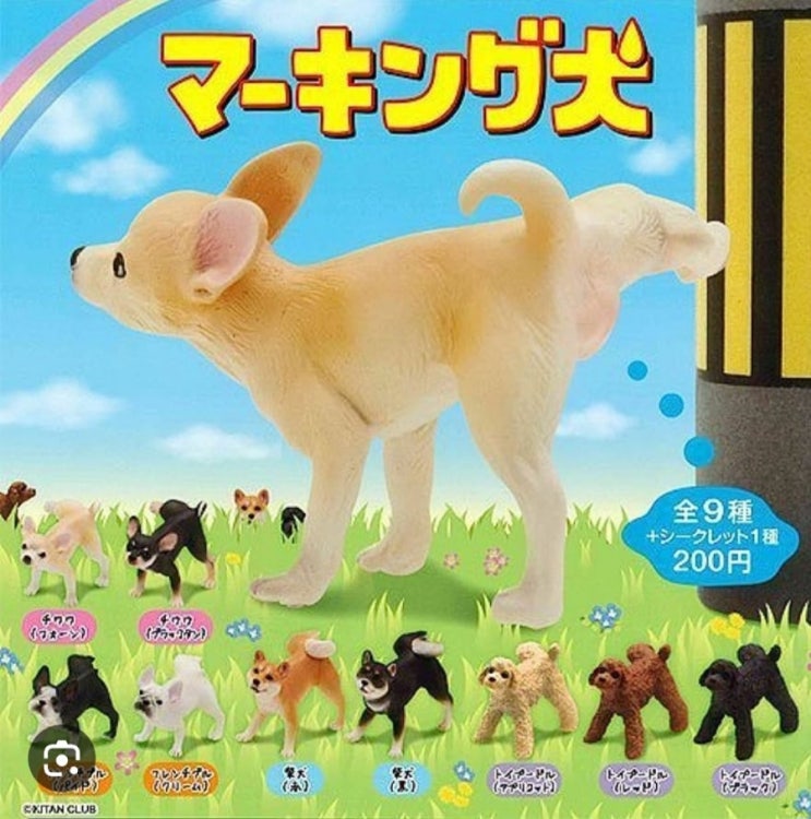  [벼룩]_기담클럽_마킹견 10종 풀셋_가샤폰_가챠_피규어_강아지_개