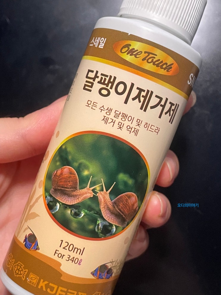  어항 리셋하지 않고 달팽이 제거제 사용하기
