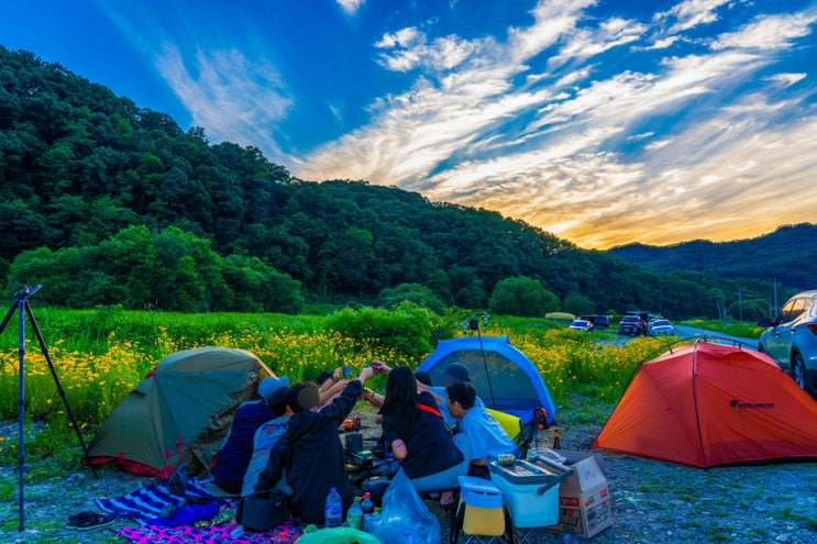 대전 노지 캠핑 차박지와 식장산 전망대 여행