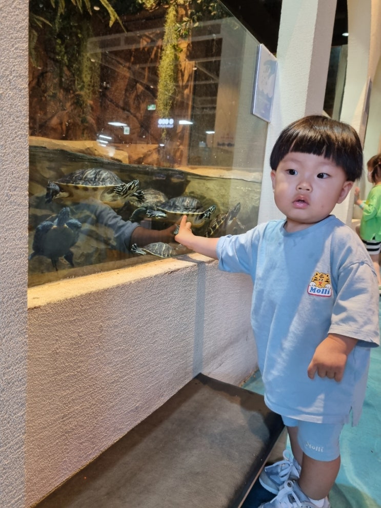  해쥬니의 주말 나들이 전주 에코시티 어푸어푸(아이와 가볼 만한 곳/전주수족관카페/16개월아기랑)