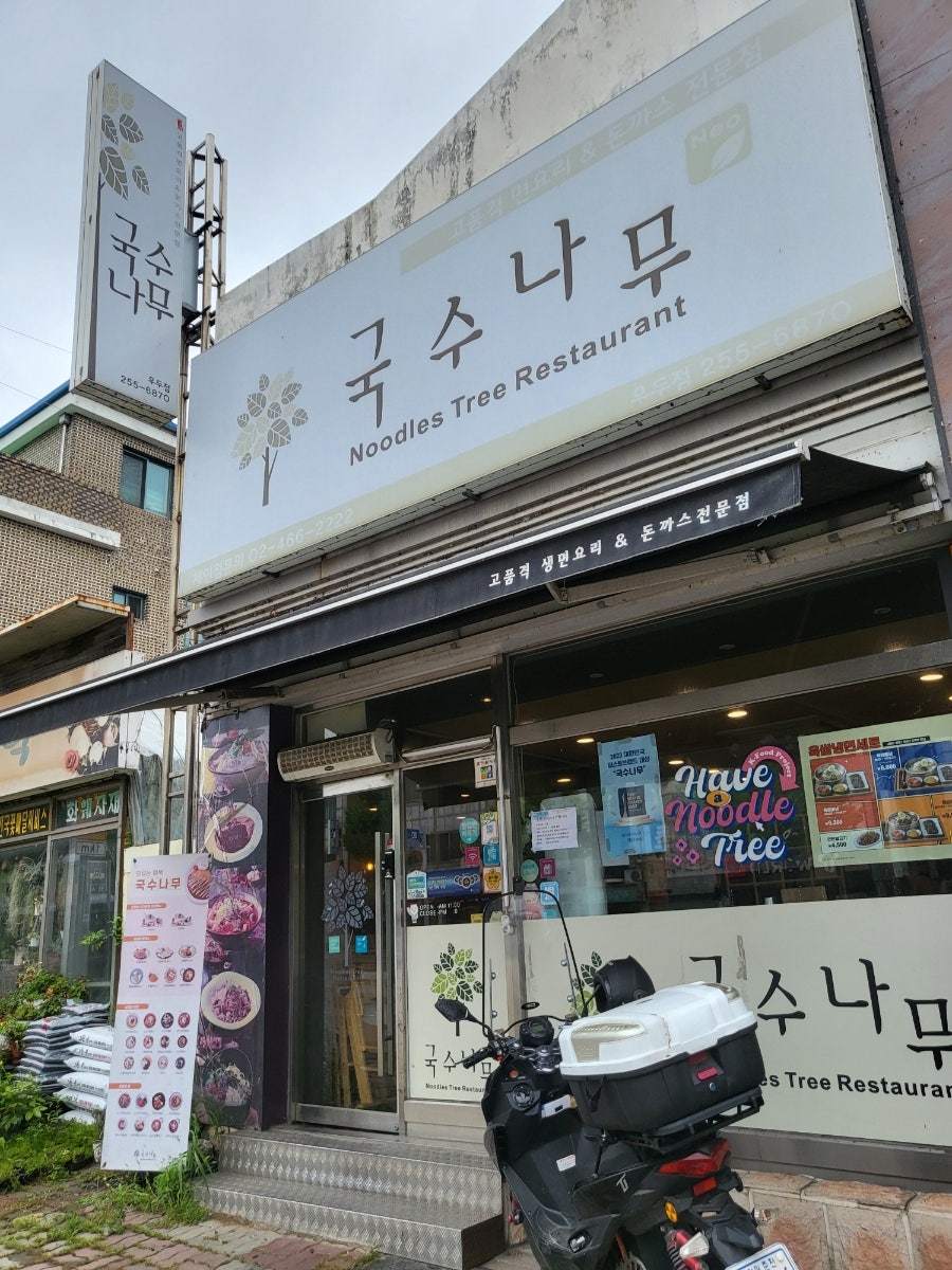 국수나무 우두점 사진 1