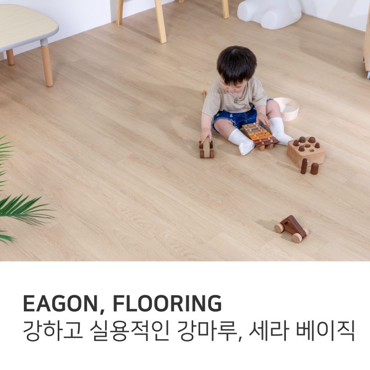 이건마루 세라 베이직 SERA BASIC